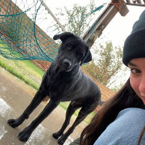 Meet your Posher, Bianca